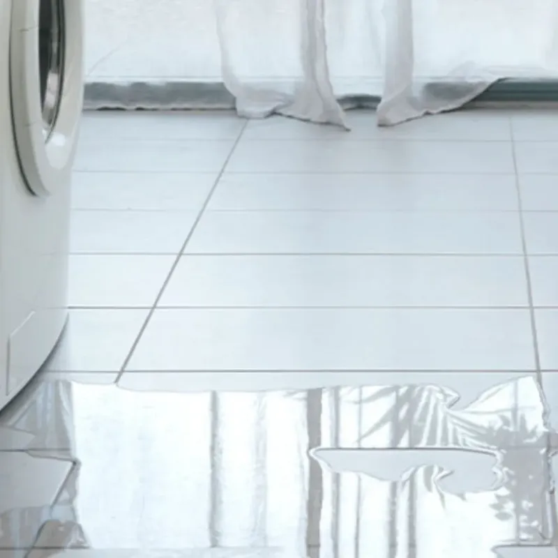 Appliance Leak Cleanup in Newberg, OR