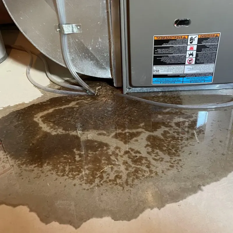 Pipe Burst and Leak Restoration in Newberg, OR