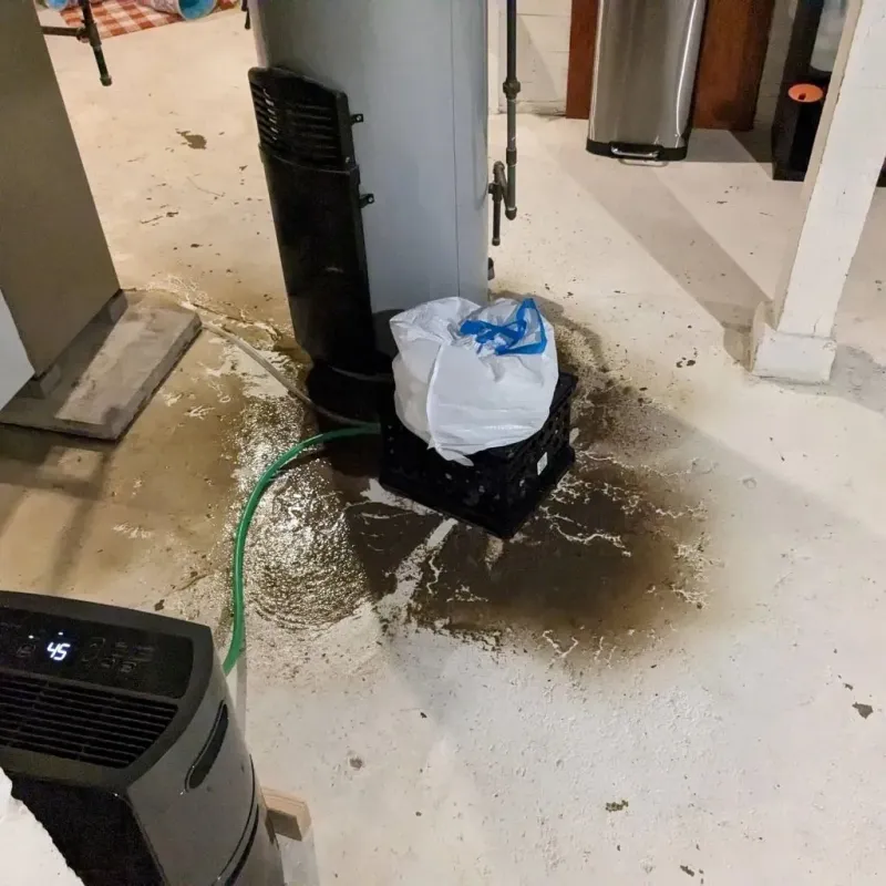 Sewage Backup Cleanup Service in Newberg, OR